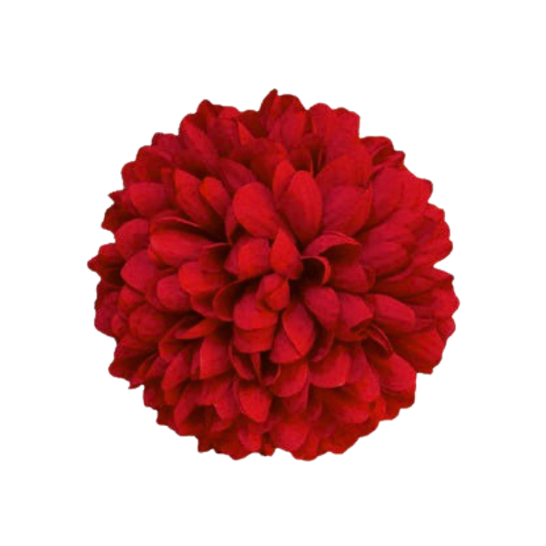 5 1/2" Artificial Silk Mum - 15 Layers | 1 Count