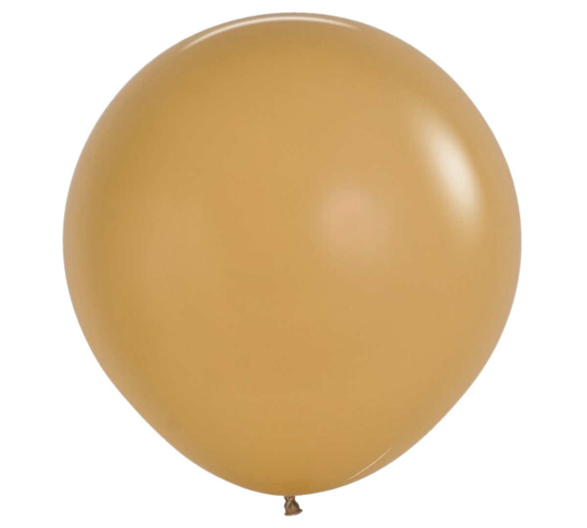 24 Inch Sempertex Deluxe Latte Latex Balloons 10 Count Wholesale